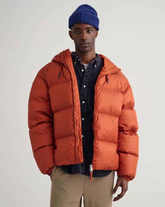 jaqueta puffer brilhante N424C380 ocre escuro GANT homens