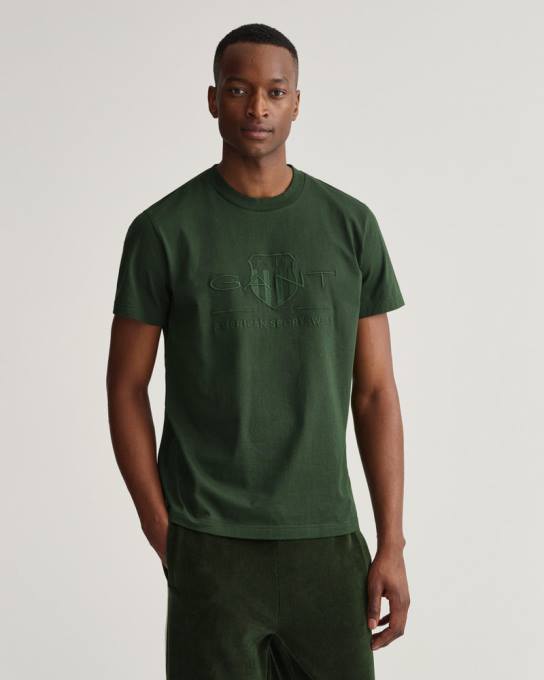 t-shirt de escudo de arquivo tonal N424C157 tempestade verde GANT homens