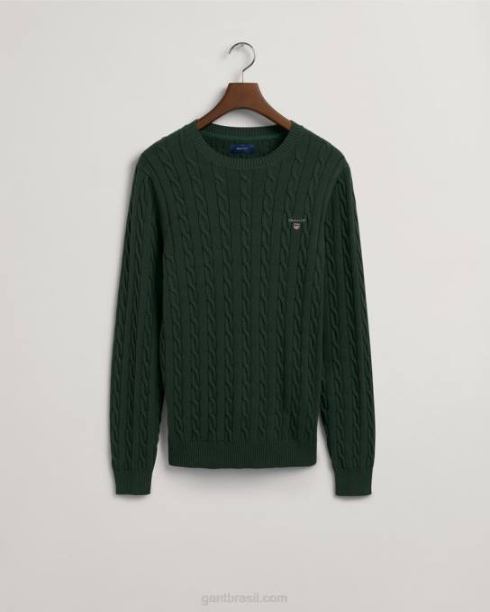suéter de gola redonda de cabo de algodão N424C343 tempestade verde GANT homens