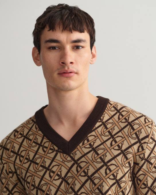 suéter monograma merino com decote em V N424C363 marrom rico GANT homens