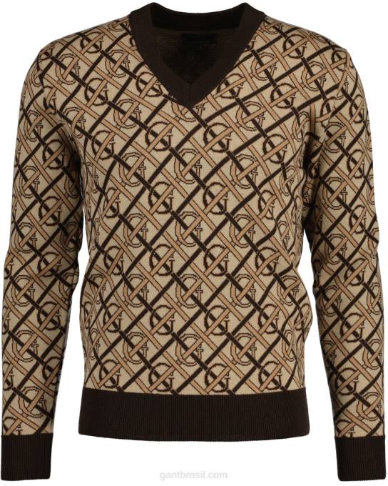 suéter monograma merino com decote em V N424C363 marrom rico GANT homens